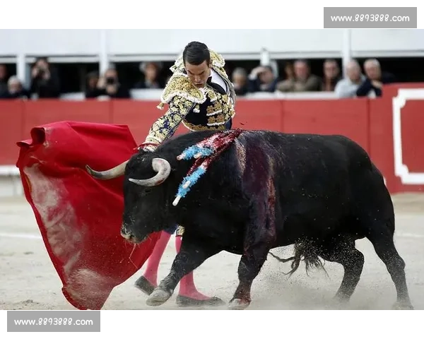 西班牙斗牛士能否重现荣光，年轻血液注入新希望！